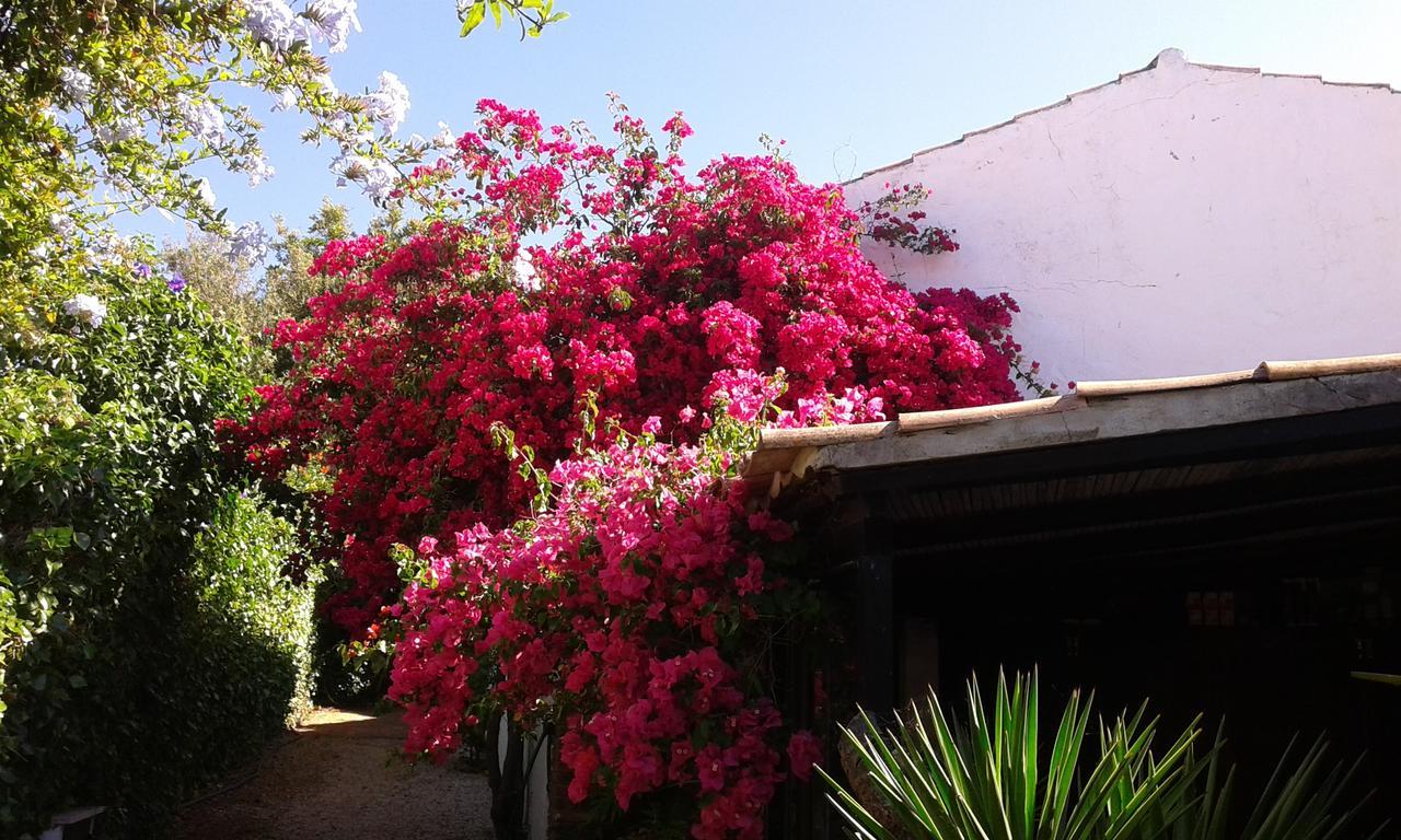 Quinta Das Flores Villa Албуфейра Екстериор снимка